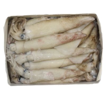 CALAMAR 12 x 1kg
