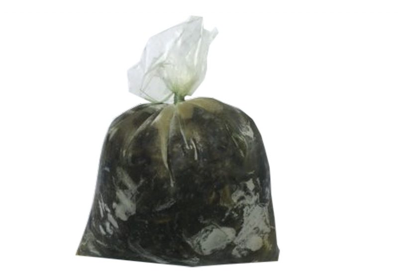 Ndolé " Togo " 40*500g
