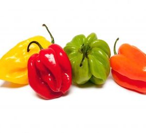 Piment Antillais 25*200g "fort"