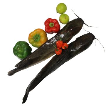 POISSON CHAT 500/800 (4 KG)