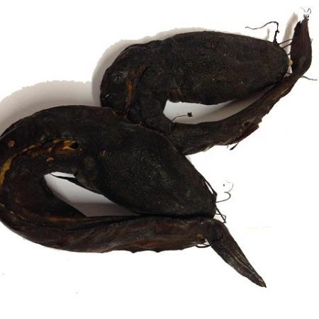 Poisson Chat Fumée sachet de 5kg