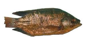 Tilapia Fumée sachet ind 5KG