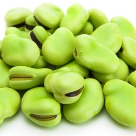 Haricot tendre  20*400g