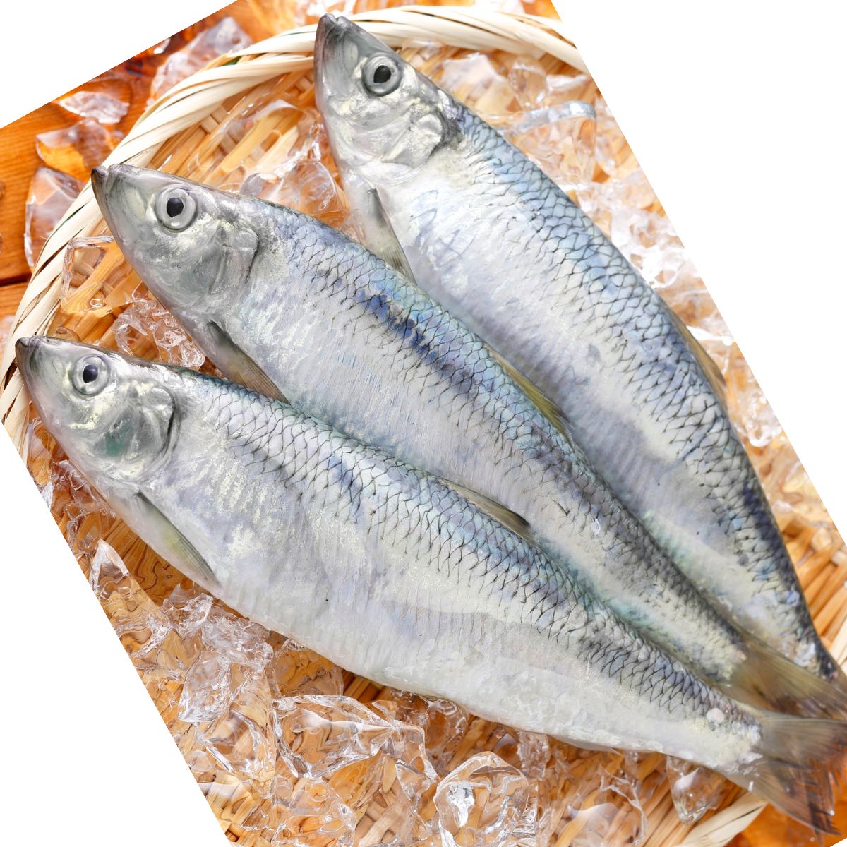 SARDINELLE sachet 1kg  (10kg)
