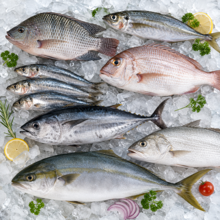 Poisson Entiers3