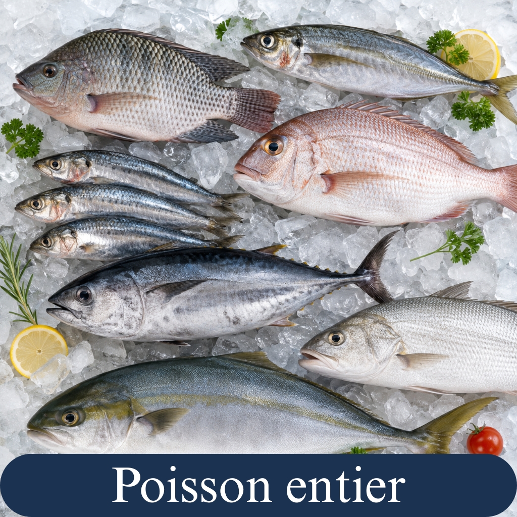 Poisson Entiers3