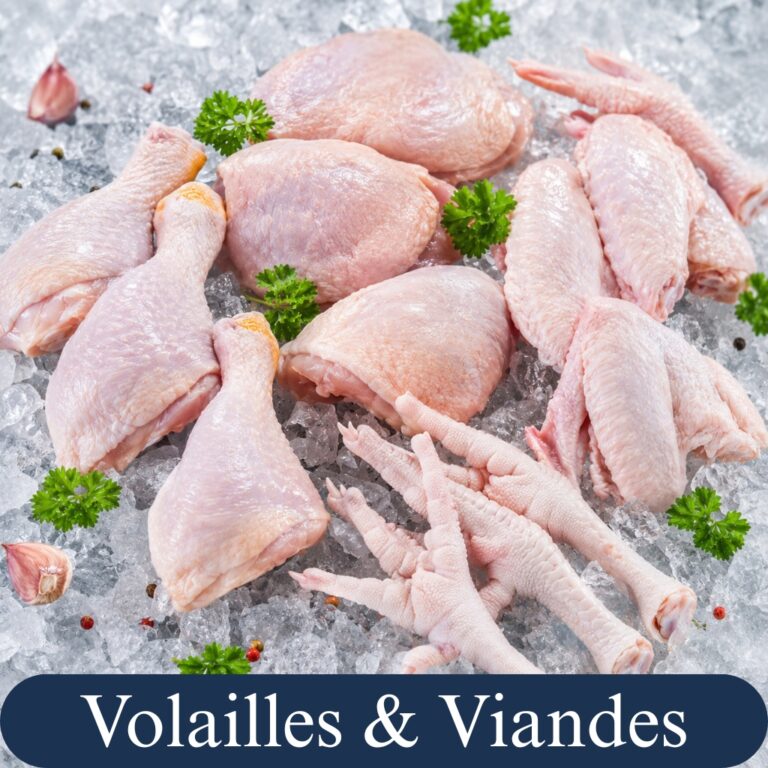 vollailes _ viandes3
