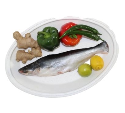 PANGASIUS ENTIER 500/800 (4KG)