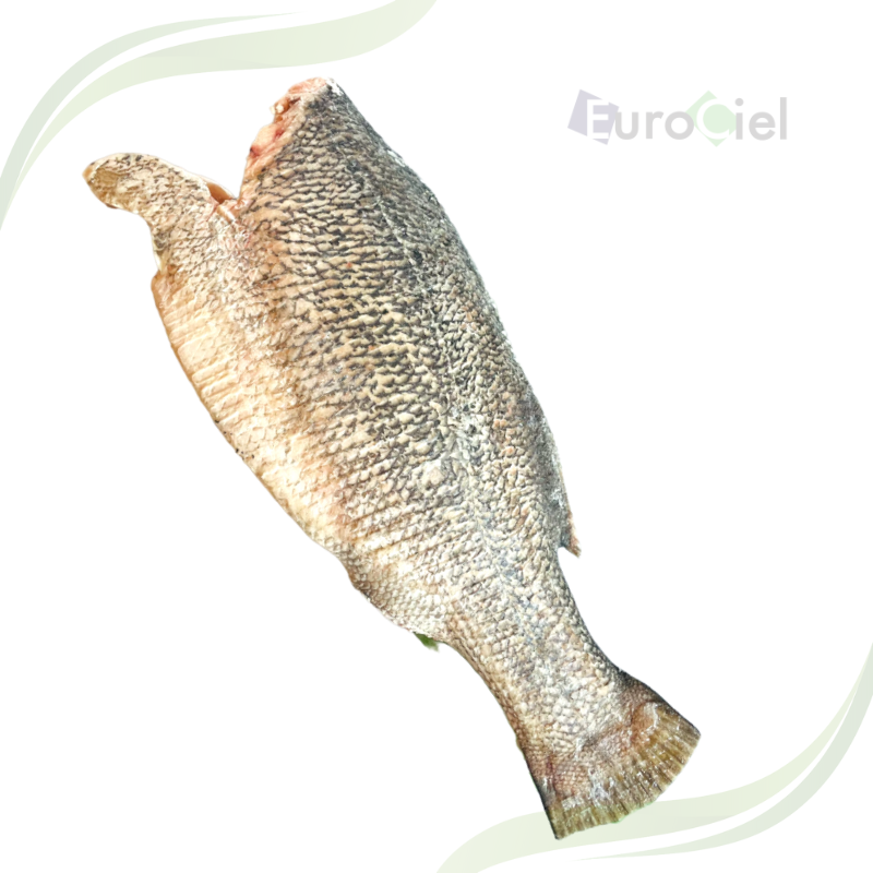 PERCHE DU NIL