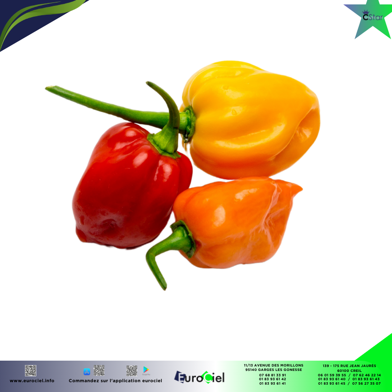 PIMENT ANTILLAIS