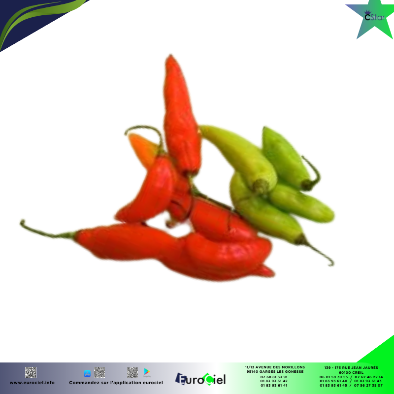PIMENT VEGETARIEN