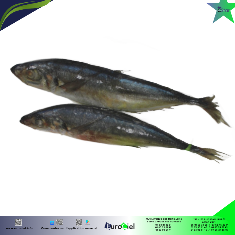 Chinchard entier congelé en sachet, poisson frais et prêt à préparer.