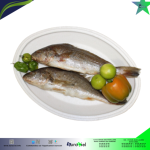 Ombrine entière congelée dans un sachet en plastique, prête à être cuite.