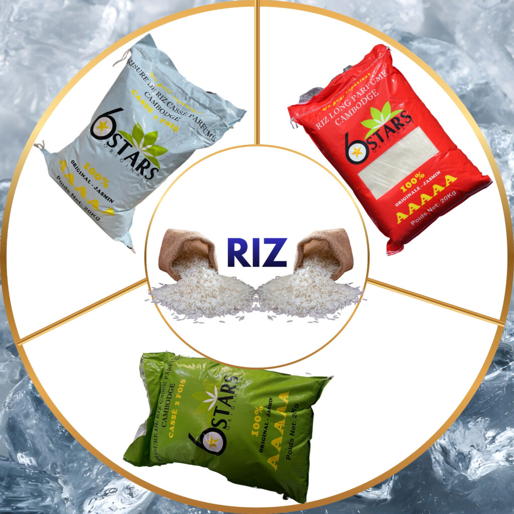 riz-category